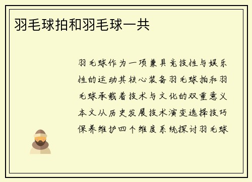 羽毛球拍和羽毛球一共