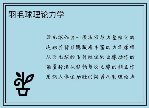 羽毛球理论力学
